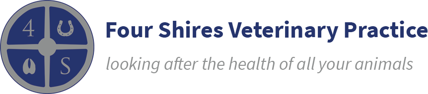 Visit Four Shires Veterinary Practice home page